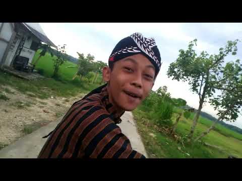 waktunya-thrblora-punya-solet