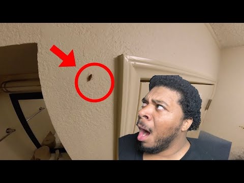 Red Roof Plus+ San Antonio Downtown Riverwalk Hotel Review