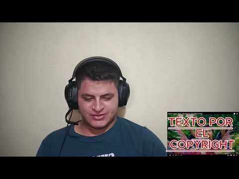 GOZ4EVER Reacciona a Chanteito Pa' un Ex - Beatriz Luengo X Darell