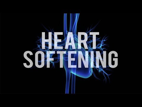 HEART SOFTENING QURAN RECITATION