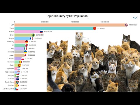Cat Population by Country 2020