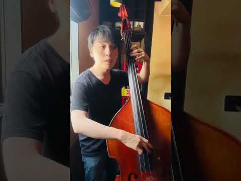 The Theme Bass Solo