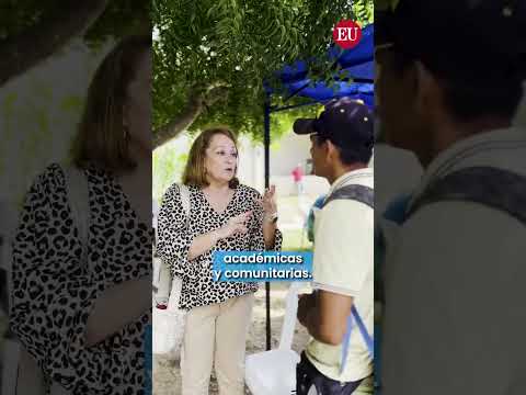 Planta de Harina de Yuca de Alta Calidad de Consumo Humano | HQCF Processing Plant | Enso Ingeniería