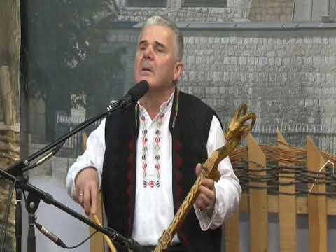 Petronije Colakovic - Pozdrav Romaniji - (LIVE) - (Tv Duga Plus 2020)