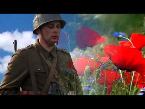 Po ten kwiat czerwony - NO TO CO [nuty i akordy]