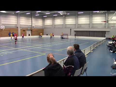 HaHe 06- OLS Tiikerit 06