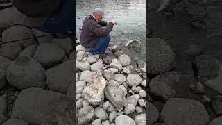 Bigger Pike On Co-op Lures (Dean's Fish)