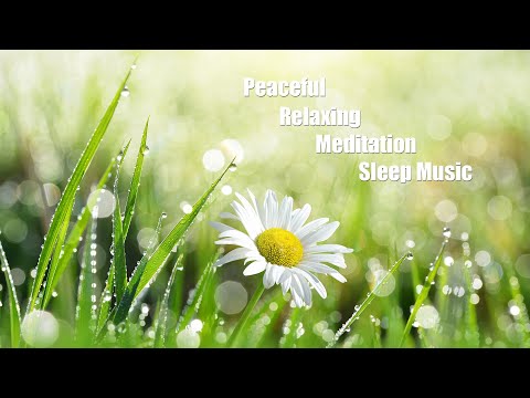 428 Hz | Deep Sleep & Meditation Music | Solfeggio Sleep Music | Positive Energy | Water Drop Sound