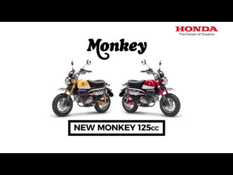 Honda monkey rebirth