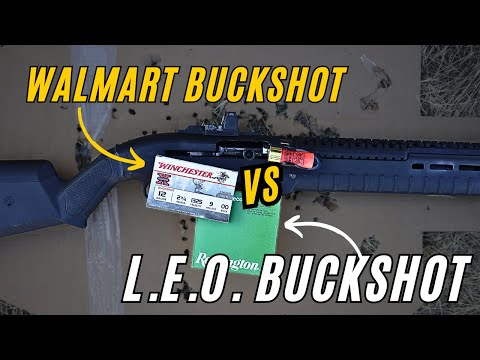 12ga Ammo Test Series: #2 Winchester Defender SLUG + 00 Buck (PDX1) | Pattern /Gel