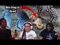Why You Should Be Scared Of Butterflies Casual Geographic Reaction