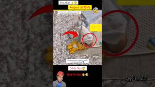 Yea Allah ☝️😇 Respect 😍 #allah #short #status #respect