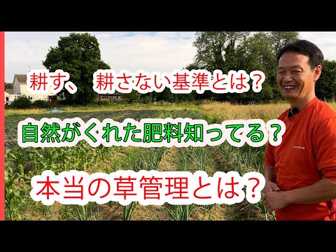 庭を耕したほうがいいでしょうか？耕さずに土地を耕すことはできますか?全てをお伝えします！  庭園