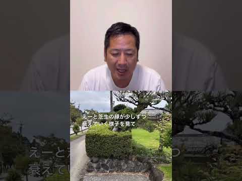 厚くて緑の芝生を育てるにはどうすればよいでしょうか？経験豊富な庭師が知っている5つの良いアクション!  庭園