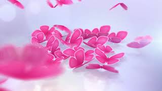 Download lagu Video anniversary romantis mp3 Download lagu Video anniversary romantis mp3