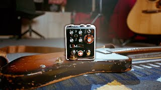 Video thumbnail for Mastro Valvola LEM Granular Multi Delay by Living Room GD