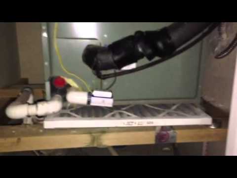 Board Walk Vizcaya 3