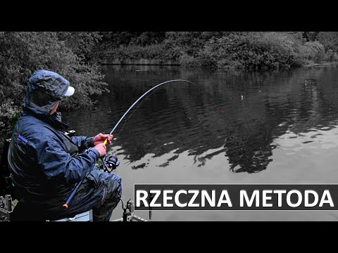 RIVER METHOD FEEDER - SELECTION OF BIG FISH