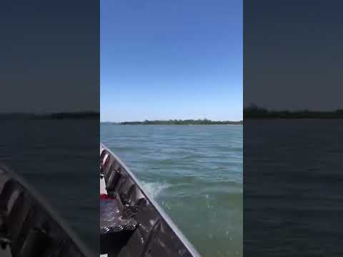 PESCARIA DE BARCO EM ALVORADA DO SUL PARANÁ