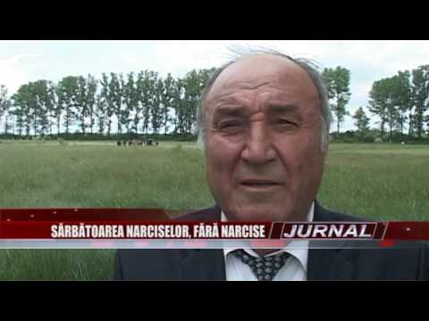 stire 09 05 2016   SARBATOAREA NARCISELOR