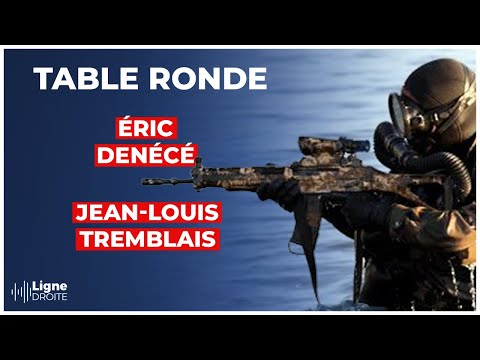 Hommage aux nageurs de combat : ces héros de l'ombre