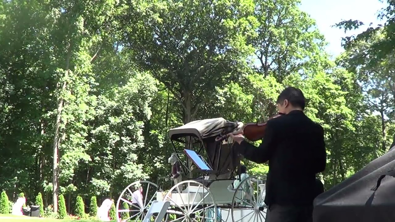 Promotional video thumbnail 67 for Xinou Wei Strings