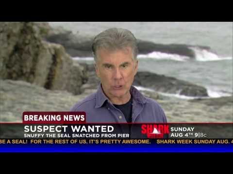 John Walsh on Snuffy's Disappearance | Shark Week 2013