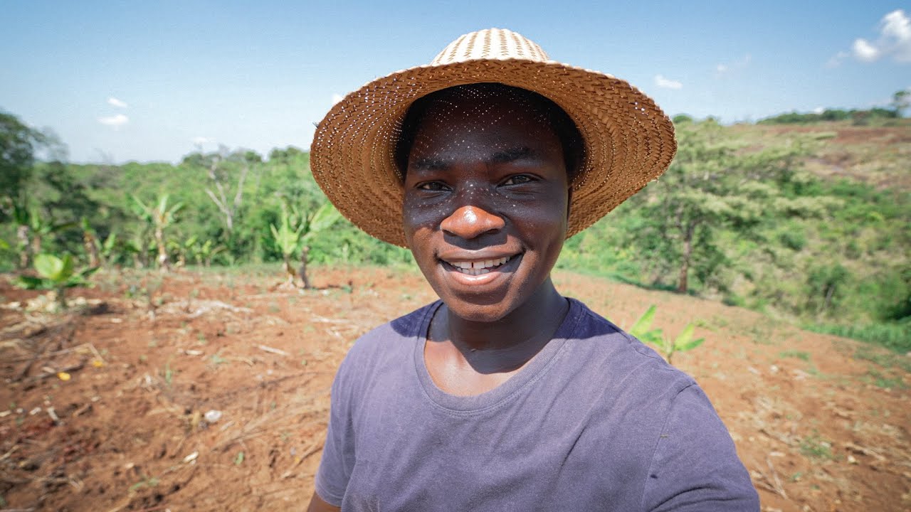 Preparativos a Todo Vapor para a Grande Festa na Roça!
