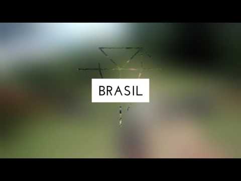 Erika Gramiscelli em Treinamento