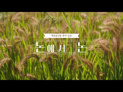 논에서논 스케치 영상