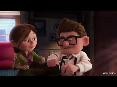 Lei da Vida - UP Altas Aventuras