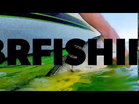 Bass, Tiger Muskie, Steelhead and more!