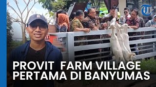 Provit Farm Village, Wisata Edukasi Kambing Perah Pertama di Banyumas