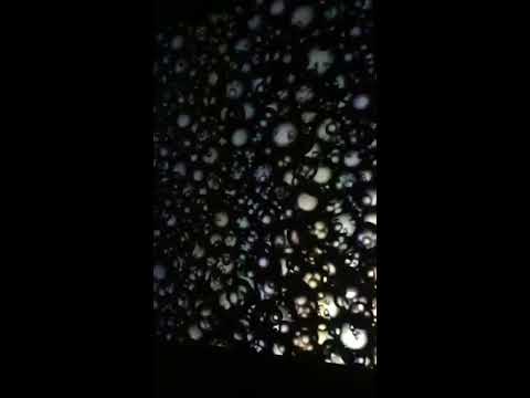 S.A.M. @ Sunday Bunch [Sofia,Bulgaria]