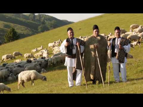 Claudiu Cretu si Florin Toader -Iara urc la stana