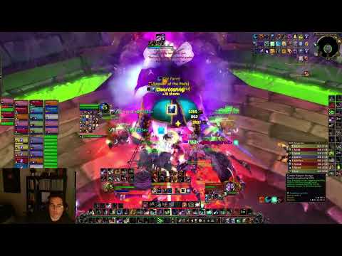 Highlight: 99 Parse Feral DPS 25 Anub'Rekhan (Wrathweaver)
