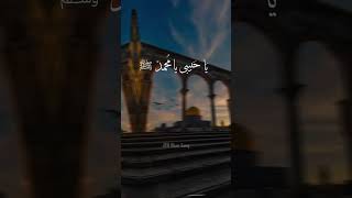 Yaa Habibi Ya Muhammad (S.A.A.W)😍😘🕋 Asethetic  Arabic Lines Whatsapp Status Video Lyrics