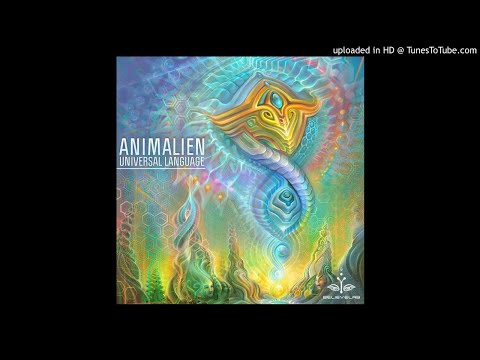 Animalien & Oksha - Experiencers