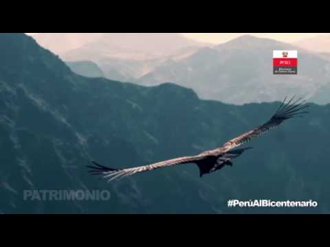 PERU TOWARDS THE BICENTENNIAL