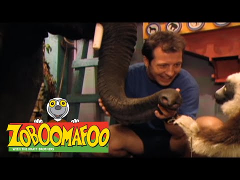 Zoboomafoo 101 - The Nose Knows (Full Episode)