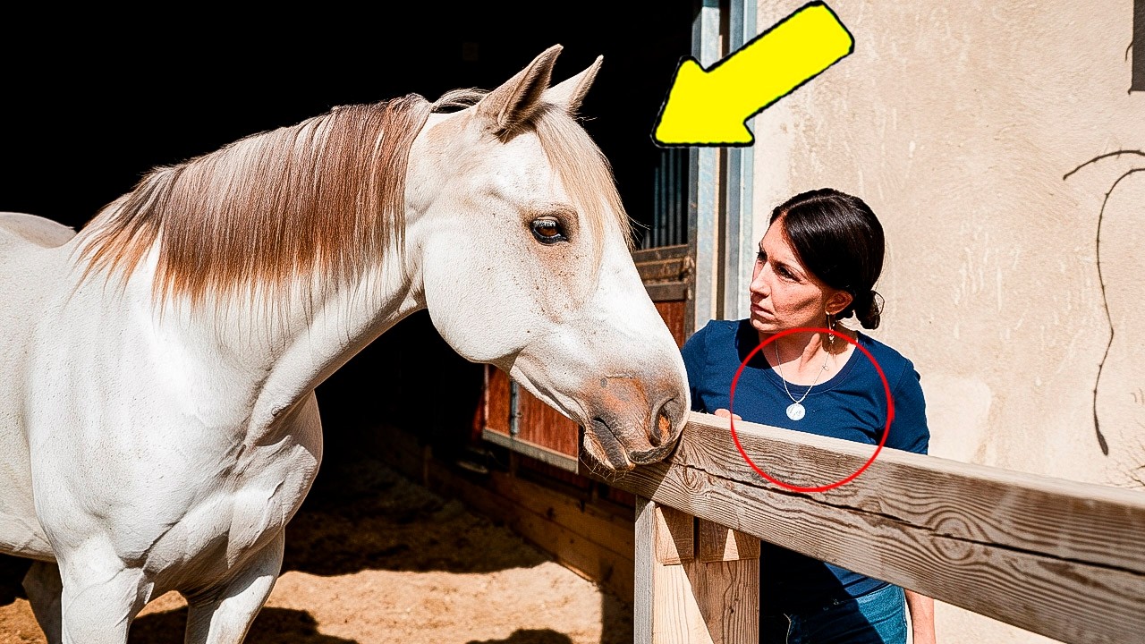 Horse Shows Strange Behavior, Its Owner Turned Pale When She Discovered the Reason...