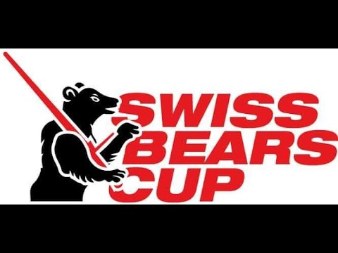 Artsy fartsy fencing