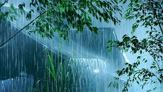 Relaxing Rain Ambience for Deep Sleep, Relaxation | Heavy Rainstorm on Metal Roof & Thunder Sounds
