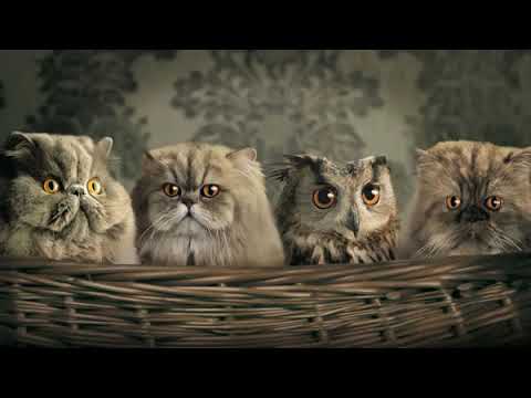 Intars Busulis - Dont Go To Strangers