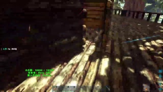ARK 友人とツリーハウス建築中