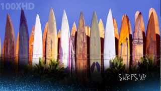 100XHD Video Art 23 Surfing