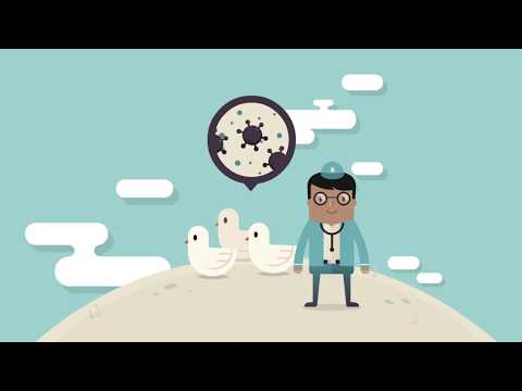 [OIE:CMU-UMN]​ Emerging and Re-emerging Diseases