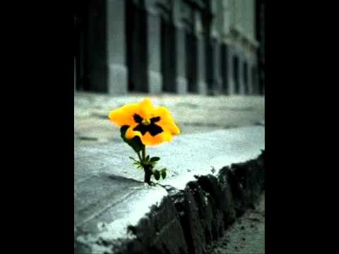 David Miguel - Unstable (unofficial)