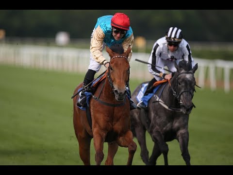 Hannover: Grosser Preis von Rossmann (Listenrennen - Stutenrennen) - Siegerin: Diaphora