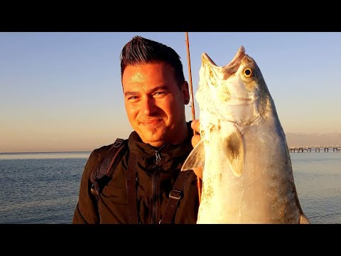 beach fishing for Leerfish akya avı